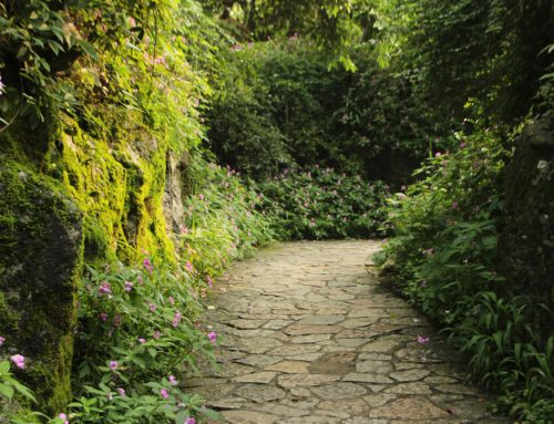 Paisajismo para entradas: cómo crear una primera impresión natural y elegante